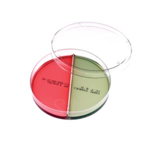 KIMA - Hektoen Enteric Agar